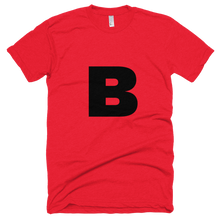 Load image into Gallery viewer, Shirt B