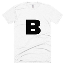 Load image into Gallery viewer, Shirt B